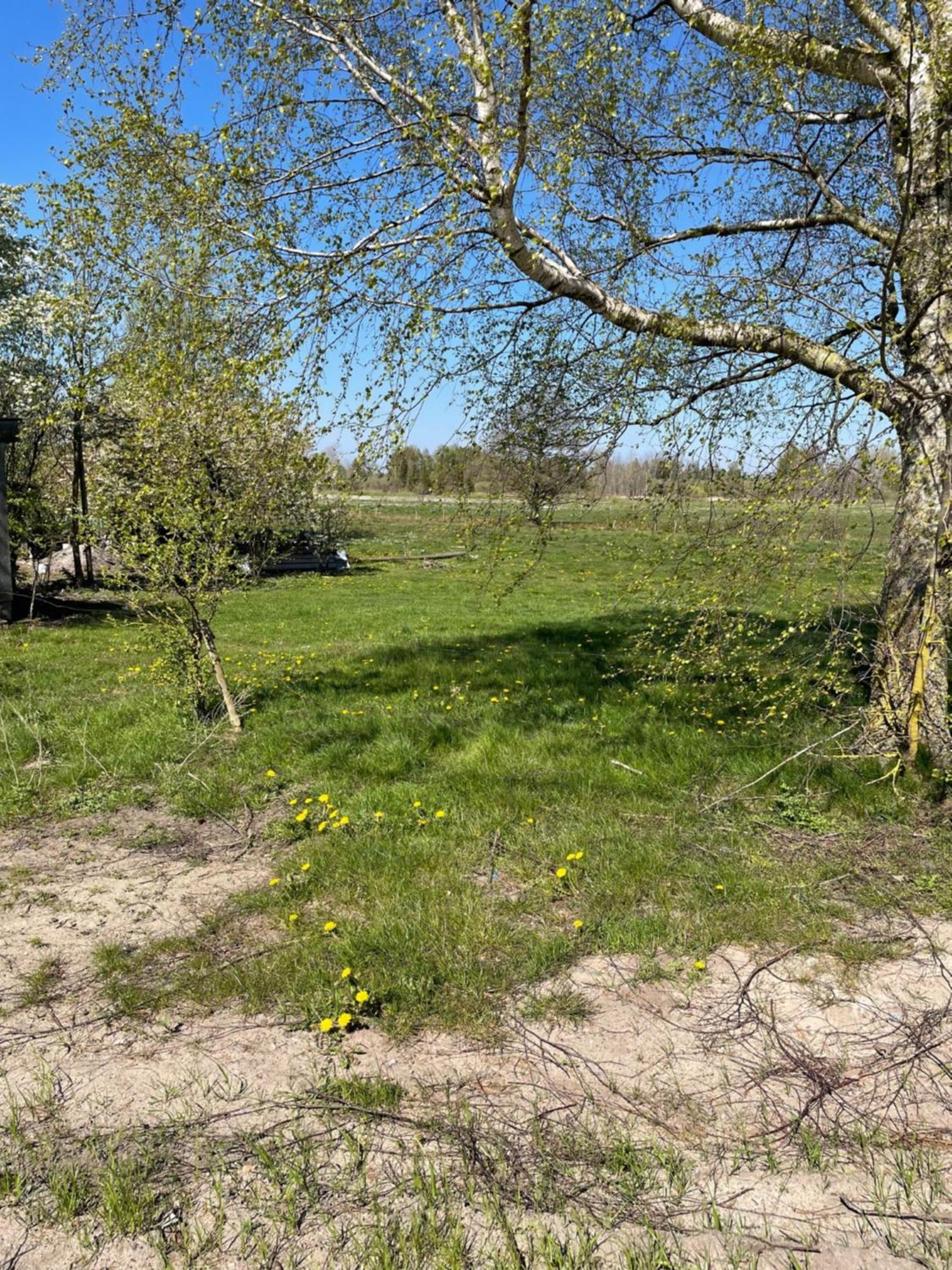 Letniskowy Z Kortem Tenisowym Karwia Ostrowo Lodge Ostrowo (Puck)